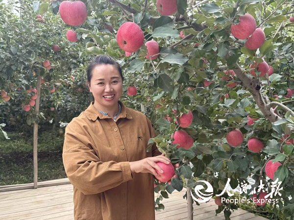 阿克苏的苹果没有“时差”