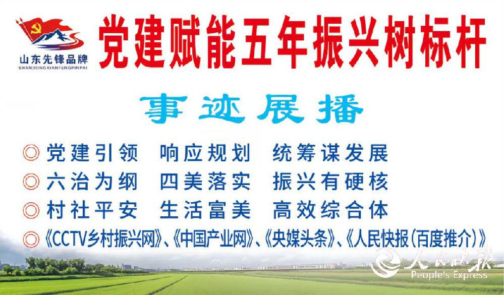 清廉与策略双驱动，“两委”胆识催高效