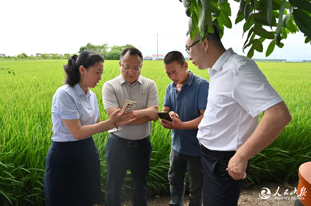 深耕黑土践初心 金融赋能兴乡村 书写···