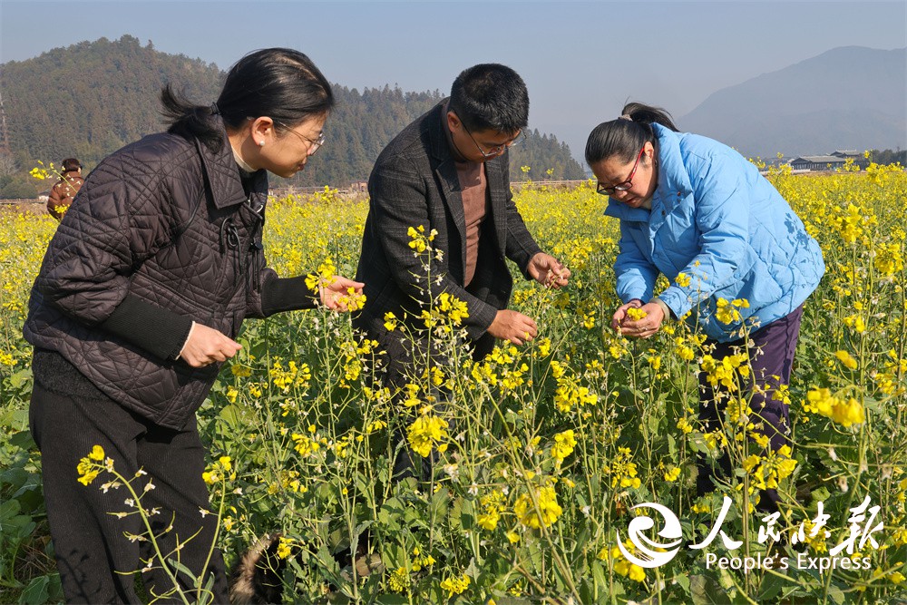 福建武夷山：农业科技人员深入田间地头···
