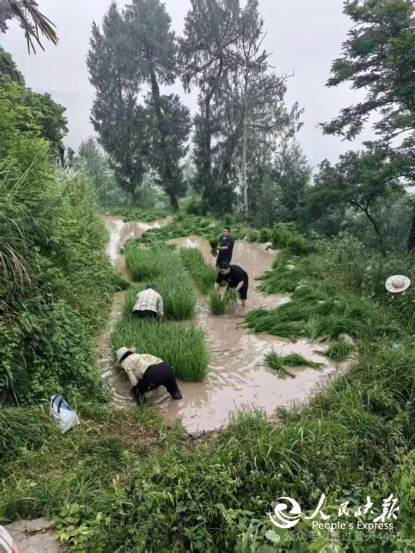 微信图片_2026-06-04_102720_517.jpg
